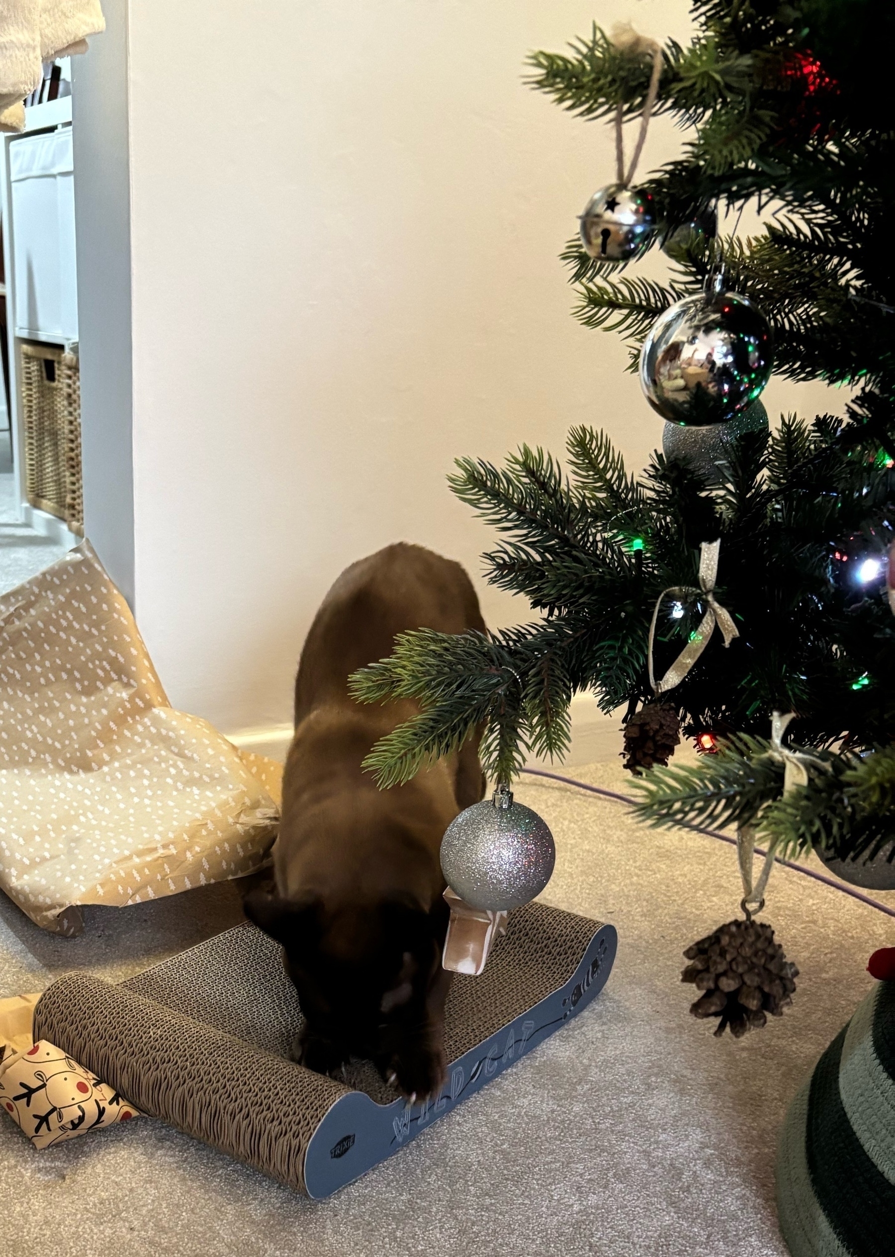 A cat is using a scratch pad next to a decorated Christmas tree.