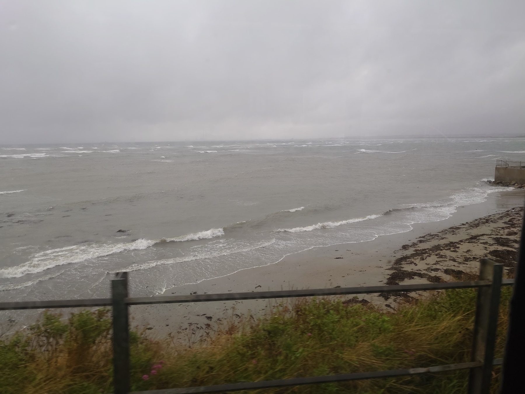 A cloudy, overcast sky looms over a calm, wavy sea with a grassy shoreline and some seaweed scattered along the beach.