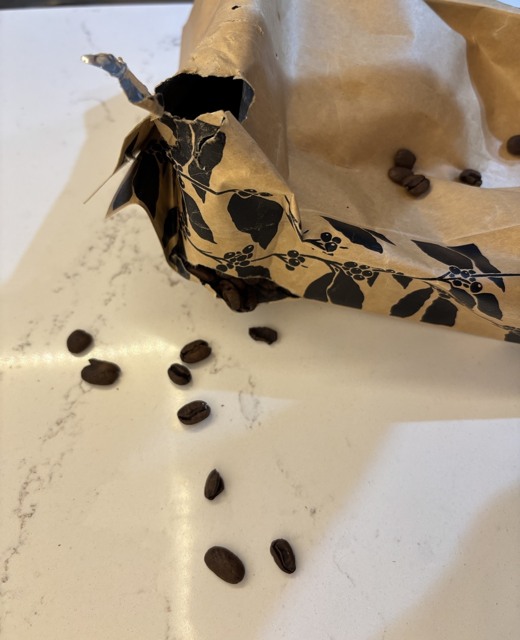 An opened coffee bag with scattered coffee beans is on a light-coloured kitchen surface.