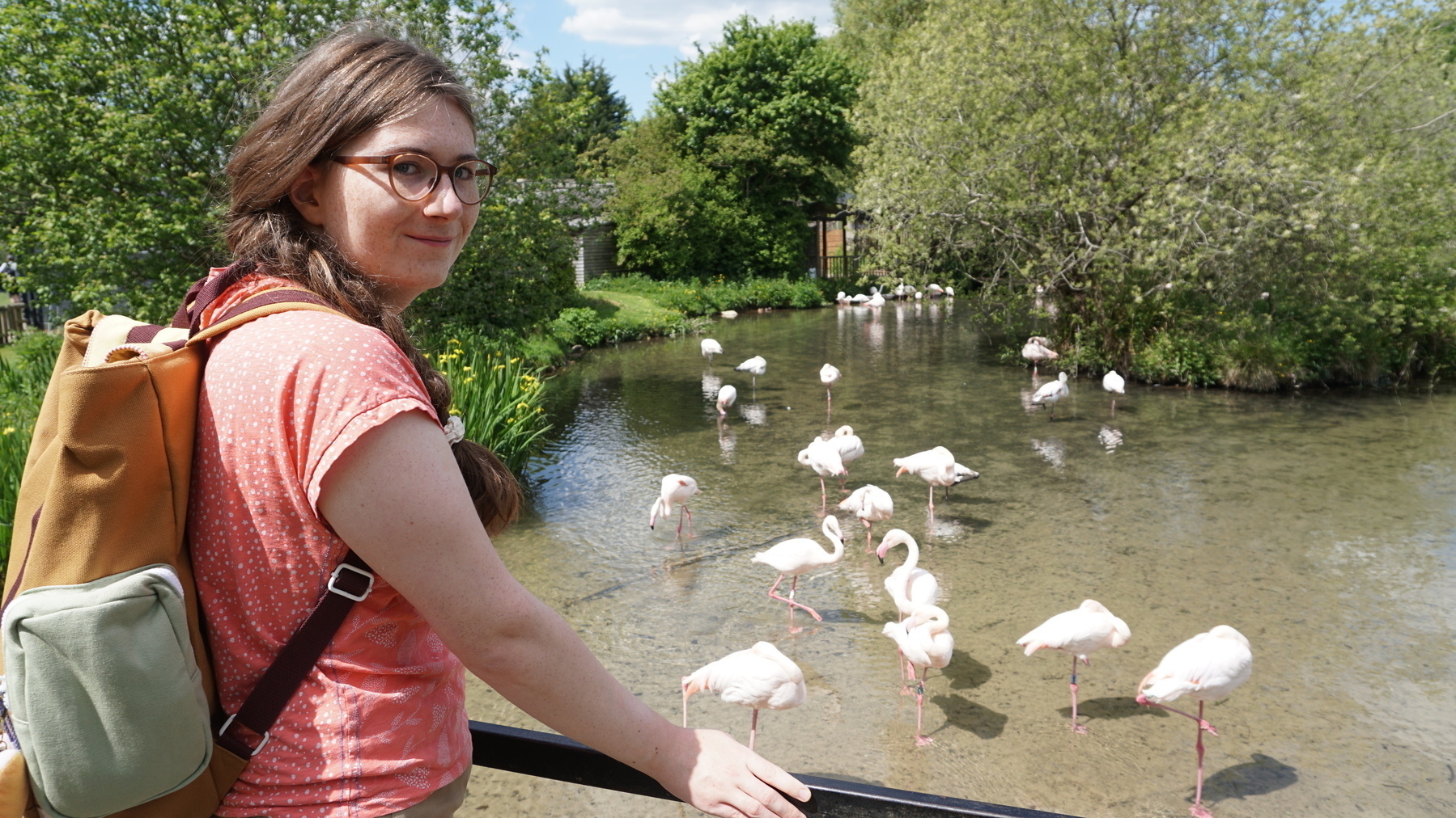 A person with a backpack smiles at the camera while standing next to a group of flamingos gathered in a shallow pond.