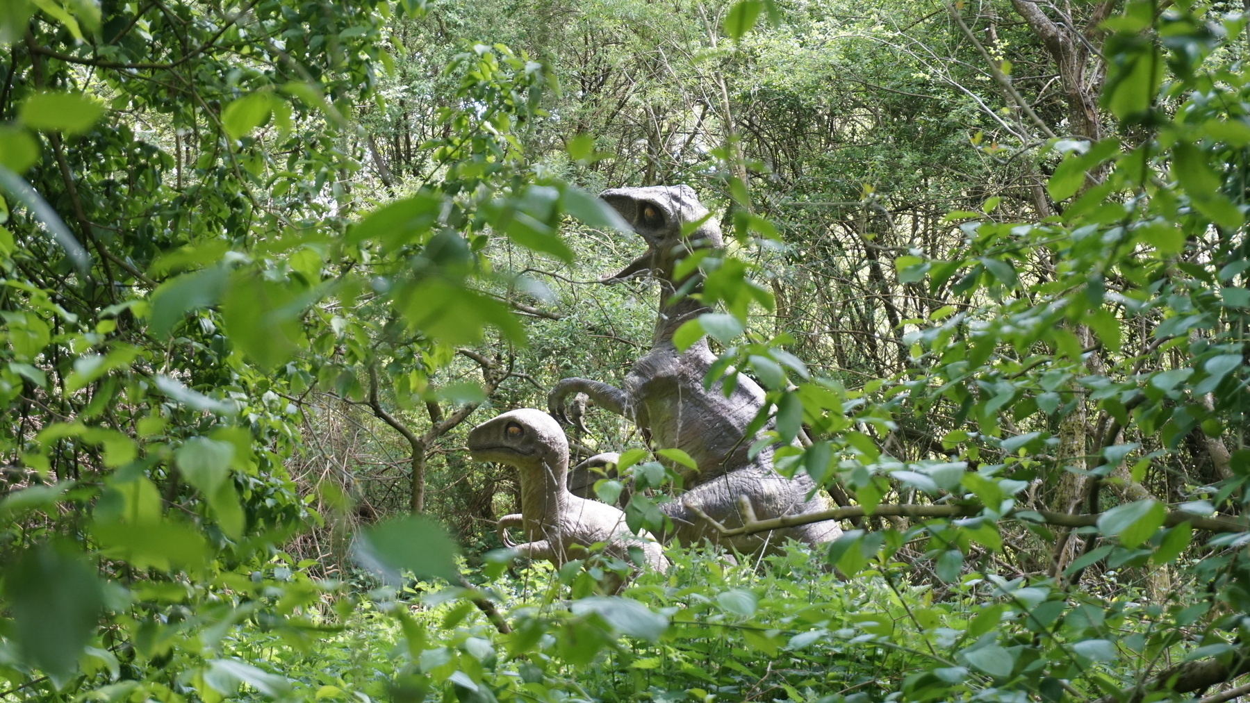 Some dinosaurs peeking out from the grasses