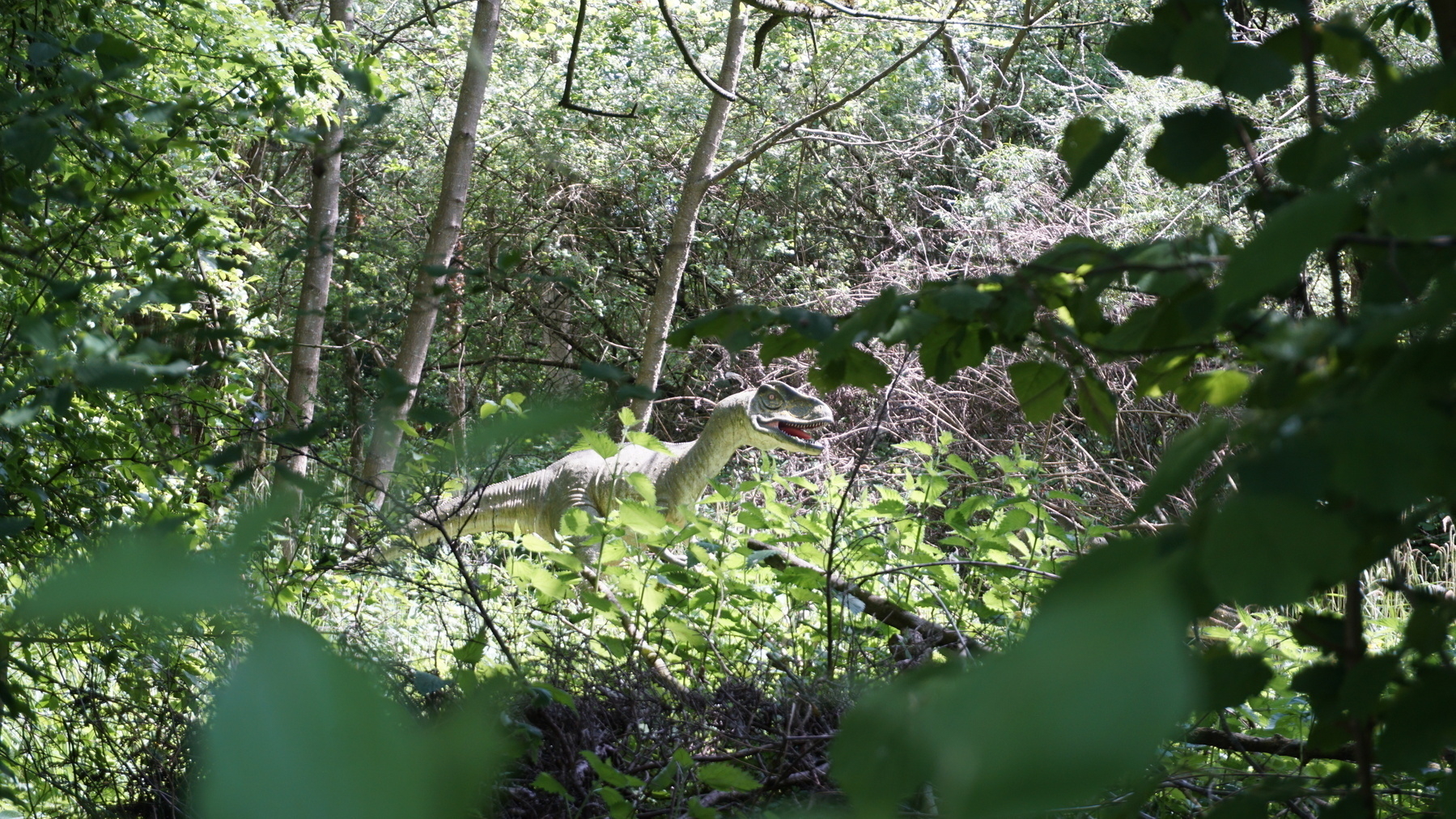 Even more dinosaurs poking out from mixed foliage