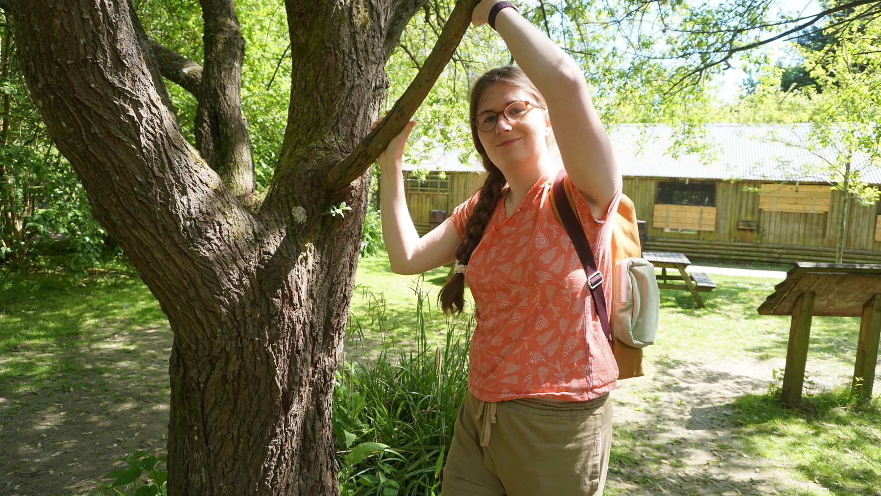 A photo of someone hanging off of a tree