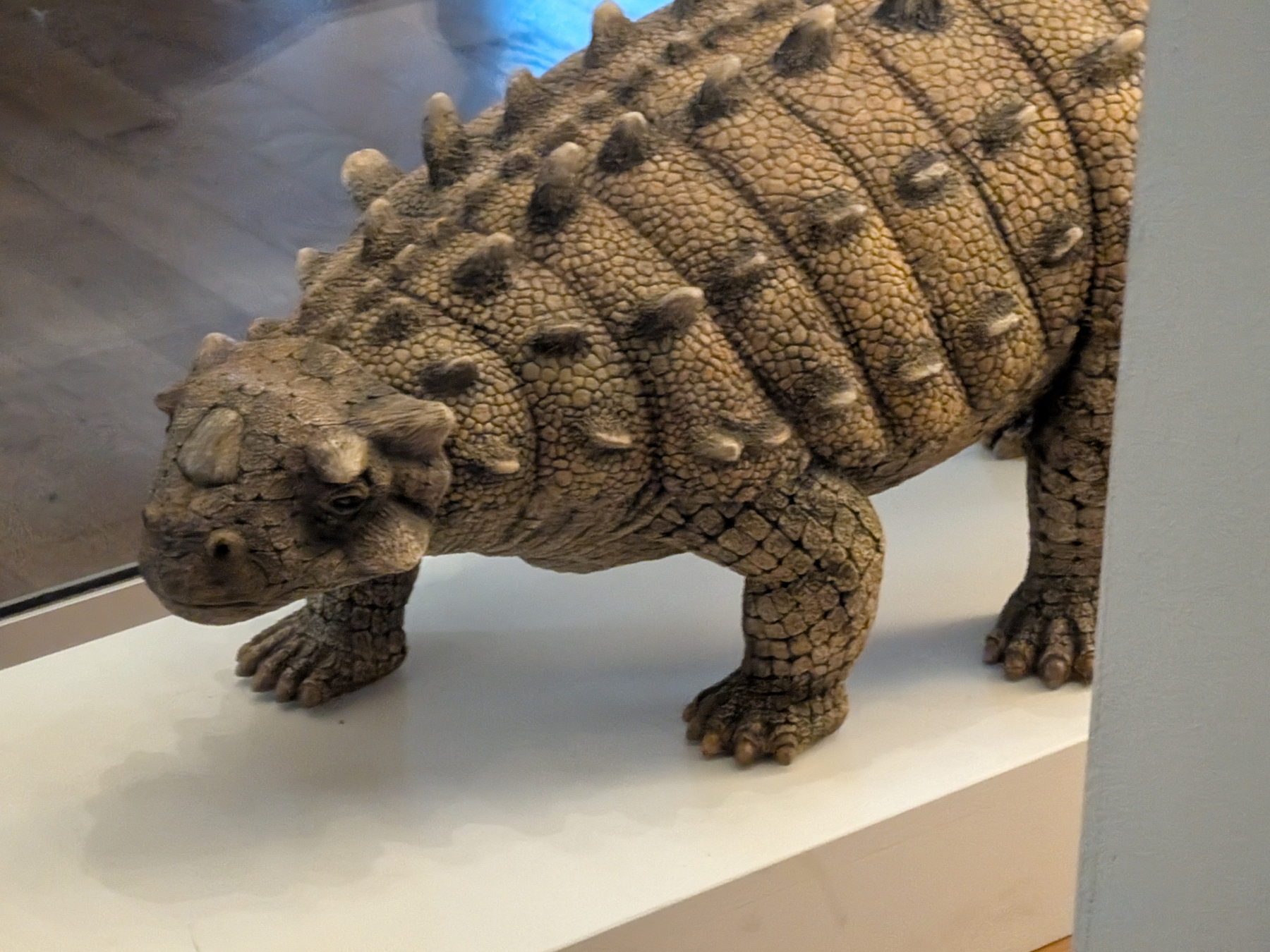 A realistic model of a dinosaur with a spiky, armored back stands on display.