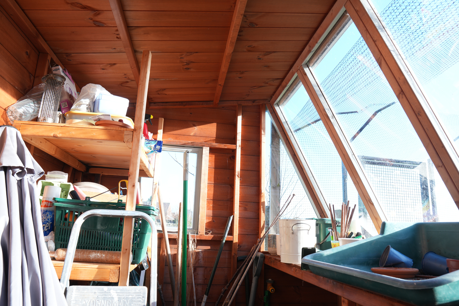 A sunlit wooden shed interior is filled with gardening tools, shelves, and windows letting in light.