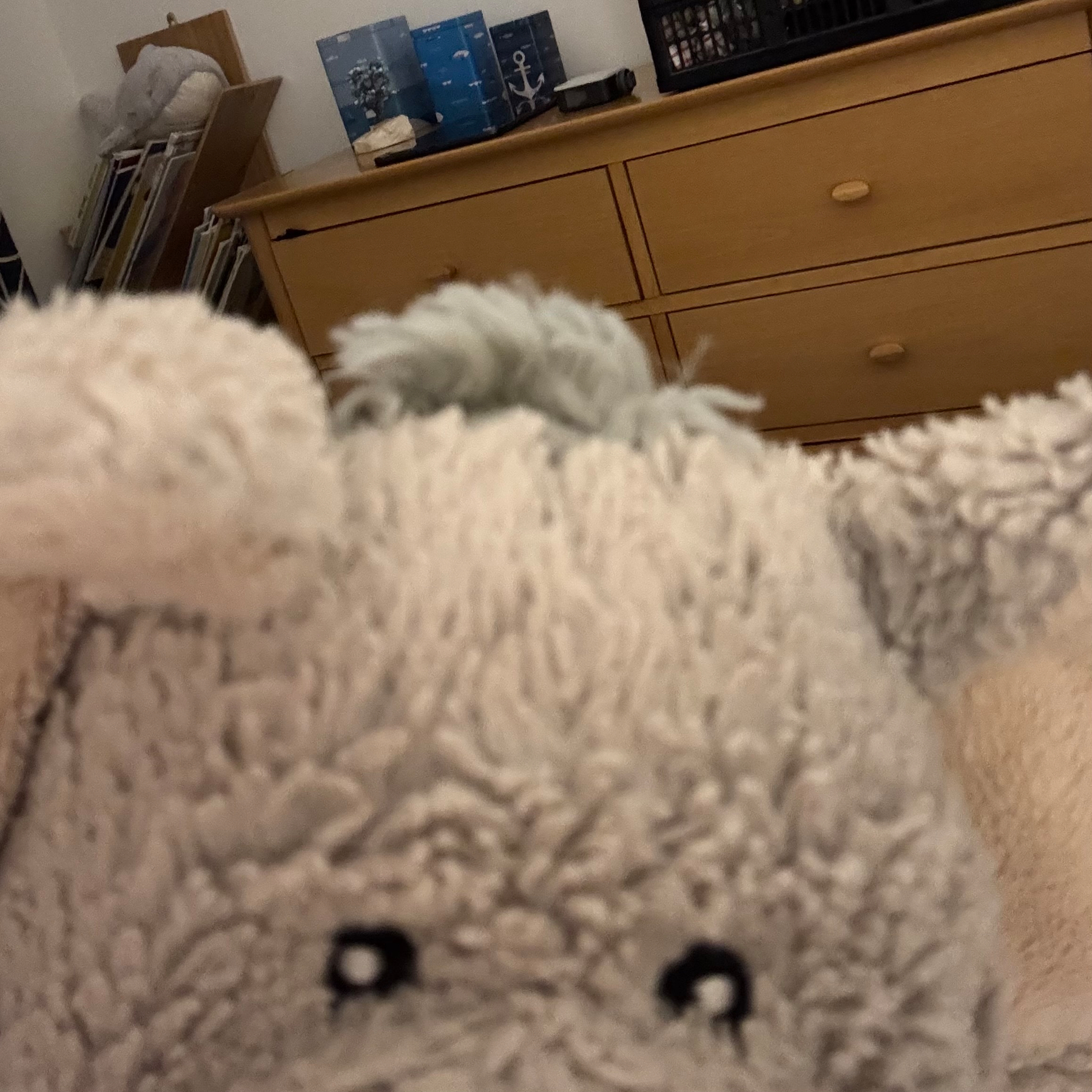 A soft, gray elephant plush toy is in the foreground, with a wooden dresser and some books in the background.
